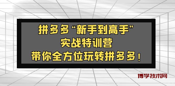 拼多多“新手到高手”实战特训营：带你全方位玩转拼多多！-博学技术网