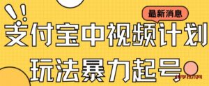 支付宝中视频玩法暴力起号影视起号有播放即可获得收益（带素材）-博学技术网