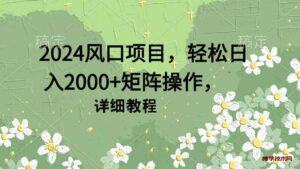（9652期）2024风口项目，轻松日入2000+矩阵操作，详细教程-博学技术网