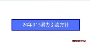 24年315暴力引流方针-博学技术网