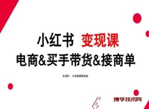 2024年最新小红书变现课，电商&买手带货&接商单，从0到1，小白高效轻创业-博学技术网
