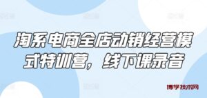 淘系电商全店动销经营模式特训营，线下课录音-博学技术网