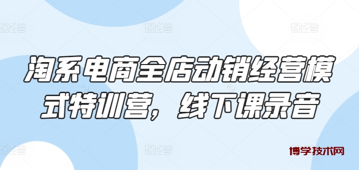 淘系电商全店动销经营模式特训营，线下课录音-博学技术网