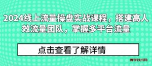 2024线上流量操盘实战课程，搭建高人效流量团队，掌握多平台流量-博学技术网