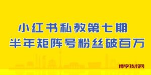 (10650期）小红书-私教第七期，小红书90天涨粉18w，1周涨粉破万 半年矩阵号粉丝破百万-博学技术网