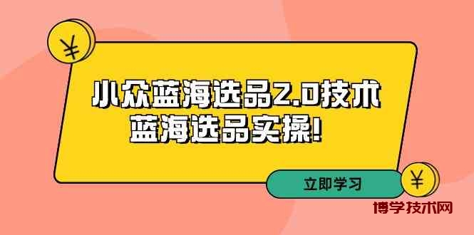 （9189期）拼多多培训第33期：小众蓝海选品2.0技术-蓝海选品实操！-博学技术网