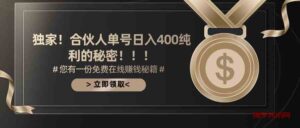 （10028期）合伙人广告撸金最新玩法，每天单号400纯利-博学技术网