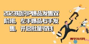 2023知识IP-爆品发售双 阶班，左手爆品右手发售，开启批量收钱-博学技术网