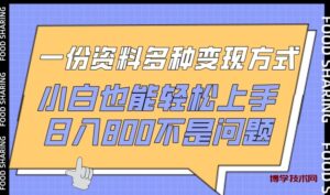 一份资料多种变现方式,小白也能轻松上手,日入800不是问题-博学技术网