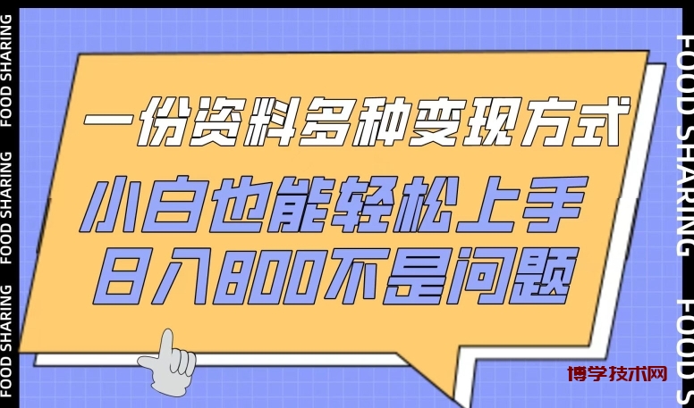 一份资料多种变现方式，小白也能轻松上手，日入800不是问题-博学技术网