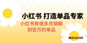 某公众号付费文章《小红书 打造单品专家》小红书有很多月销额到百万的单品-博学技术网