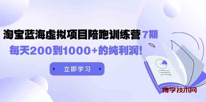 （9541期）黄岛主《淘宝蓝海虚拟项目陪跑训练营7期》每天200到1000+的纯利润-博学技术网