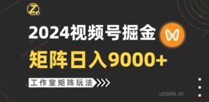 (9709期)【蓝海项目】2024视频号自然流带货,工作室落地玩法,单个直播间日入9000+-博学技术网