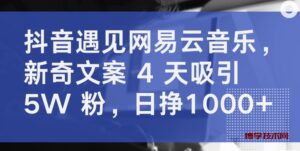 抖音遇见网易云音乐，新奇文案 4 天吸引 5W 粉，日挣1000+-博学技术网