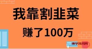 (9173期)我靠割韭菜赚了 100 万-博学技术网