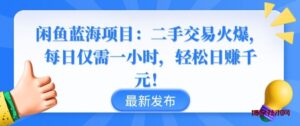 闲鱼蓝海项目：二手交易火爆，每日仅需一小时，轻松日赚千元-博学技术网