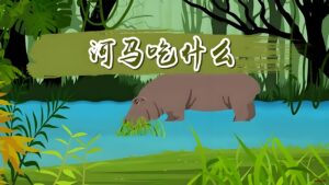 河马吃什么食物-(浅谈河马的食料与习性)-博学技术网