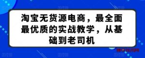 淘宝无货源电商，最全面最优质的实战教学，从基础到老司机-博学技术网