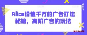 Alice价值千万的广告打法秘籍，高阶广告的玩法-博学技术网