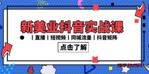 新美业抖音实战课丨直播丨短视频丨同城流量丨抖音矩阵（30节课）-博学技术网