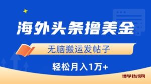 海外头条撸美金，无脑搬运发帖子，月入1万+，小白轻松掌握-博学技术网