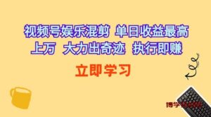 （10122期）视频号娱乐混剪  单日收益最高上万   大力出奇迹   执行即赚-博学技术网