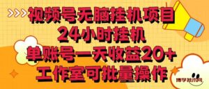 视频号无脑挂机项目，24小时挂机，单账号一天收益20＋，工作室可批量操作-博学技术网
