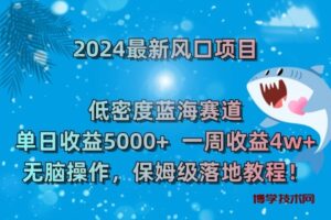 2024最新风口项目 低密度蓝海赛道，日收益5000+周收益4w+ 无脑操作-博学技术网