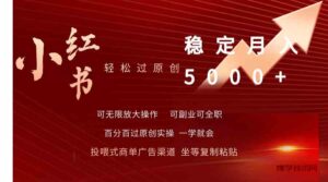 （9792期）小红书轻松过原创稳定月入5000+-博学技术网