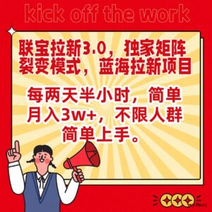 联宝蓝海拉新3.0，独家矩阵裂变模式，每两天半小时，简单月入3w+，不限人群简单上手-博学技术网