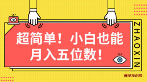 （10257期）超简单图文项目！小白也能月入五位数-博学技术网