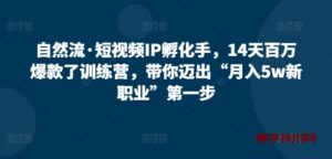 自然流·短视频IP孵化手，14天百万爆款了训练营，带你迈出“月入5w新职业”第一步-博学技术网