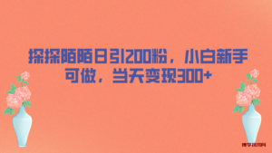 探探陌陌日引200粉，小白新手可做，当天就能变现300+-博学技术网
