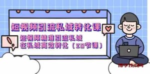 短视频引流私域转化课，短视频精准引流私域，在私域高效转化（20节课）-博学技术网