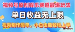 （10425期）视频号原创娱乐赛道最爆玩法，单日收益无上限，视频制作简单，小白也能…-博学技术网
