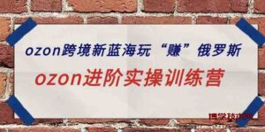 （9800期）ozon跨境新蓝海玩“赚”俄罗斯，ozon进阶实操训练营-博学技术网