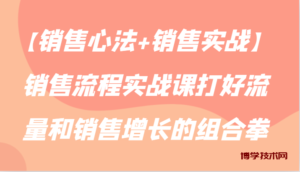 【销售心法+销售实战】销售流程实战课打好流量和销售增长的组合拳-博学技术网