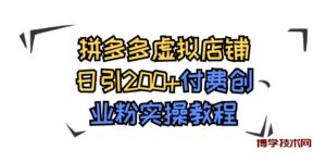 拼多多虚拟店铺日引200+付费创业粉实操教程-博学技术网
