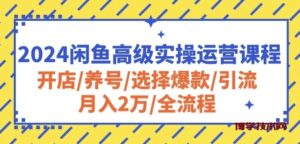 2024闲鱼高级实操运营课程：开店/养号/选择爆款/引流/月入2万/全流程-博学技术网