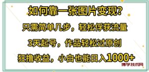 如何靠一张图片变现?只需简单几步，轻松俘获流量，3天起号，作品轻松过原创-博学技术网