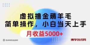 （9864期）虚拟撸金薅羊毛，简单操作，小白当天上手，月收益5000+-博学技术网