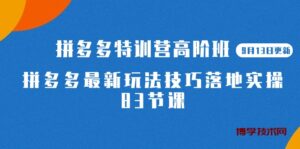 2023拼多多·特训营高阶班【9月19日更新】拼多多最新玩法技巧落地实操-83节-博学技术网