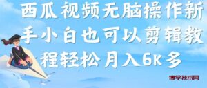 西瓜视频搞笑号，无脑操作新手小白也可月入6K-博学技术网
