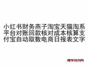 小红书财务燕子淘宝天猫淘系平台对账回款核对成本核算支付宝自动取数电商日报表-博学技术网