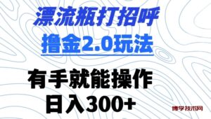 漂流瓶打招呼撸金2.0玩法，有手就能做，日入300+-博学技术网