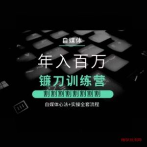 自媒体年入百万镰刀训练营，割割割割割割割割，自媒体心法+实操全套流程-博学技术网