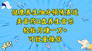 健康养生细分领域赛道,卖音药U盘养生音乐,轻松月赚一万+,可批量操作-博学技术网