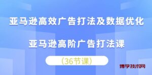 （10649期）亚马逊高效广告打法及数据优化，亚马逊高阶广告打法课-博学技术网