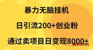 （9788期）暴力无脑挂机日引流200+创业粉通过卖项目日变现2000+-博学技术网