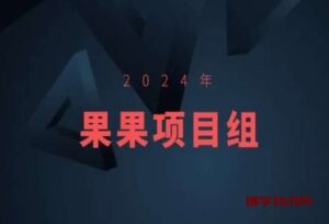 2024年果果项目组项目合集-果果最新项目-博学技术网
